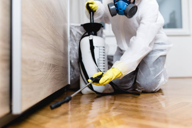  Hernando, FL Pest Control Pros