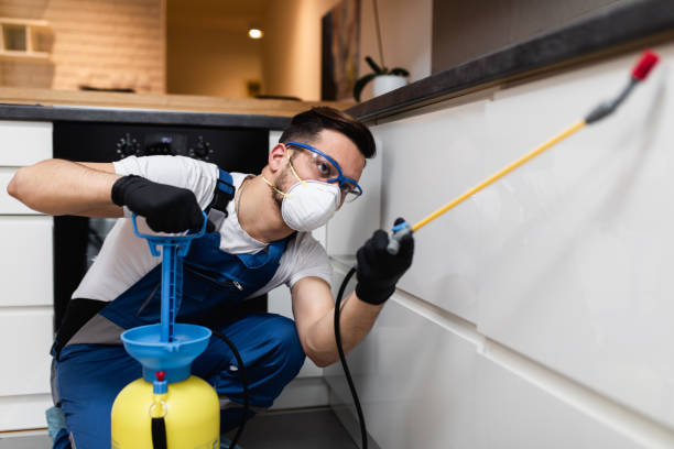 Wildlife Control Services in Hernando, FL