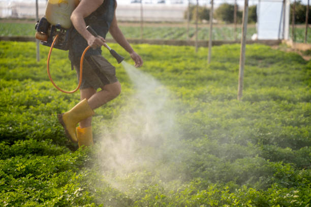 Best Best Pest Control Companies  in Hernando, FL