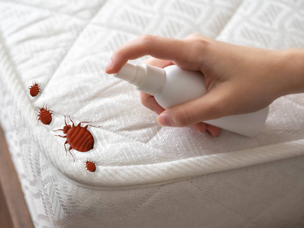Best Exterminator Services  in Hernando, FL