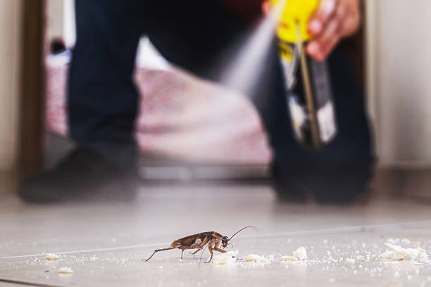 Professional Pest Control in Hernando, FL