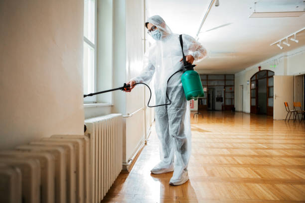 Best Rat Extermination Near Me  in Hernando, FL