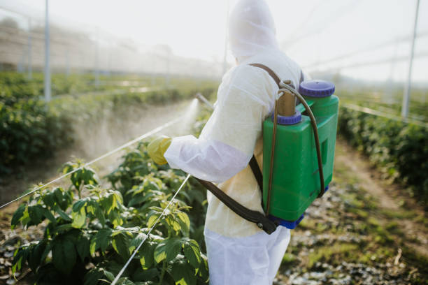Best Pest Prevention Services  in Hernando, FL